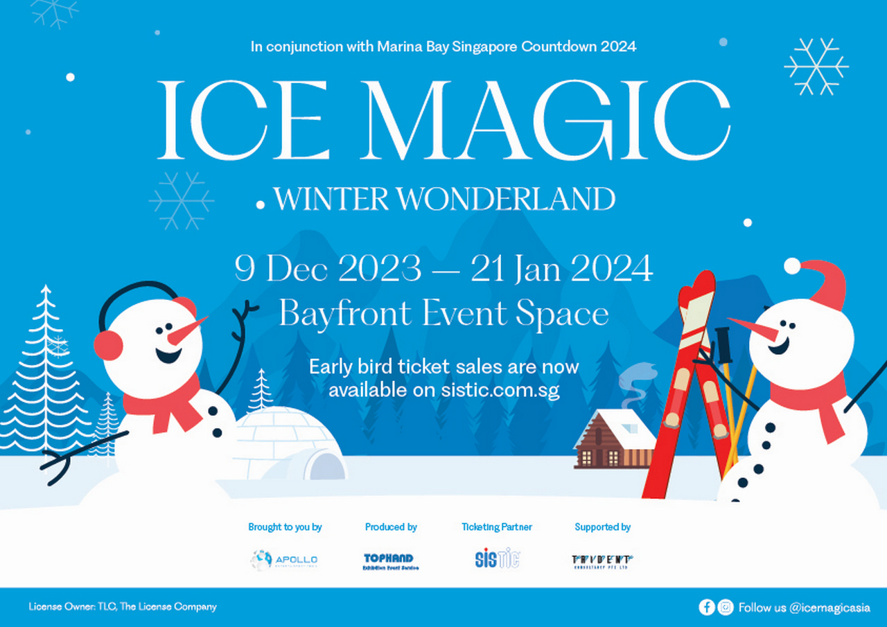 Ice Magic: Winter Wonderland